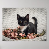 Hübsch-Bella-Rose Poster (Vorne)