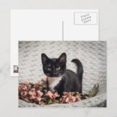 Hübsch-Bella-Rose Postkarte (Vorne/Hinten)