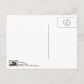 Hübsch-Bella-Rose Postkarte (Rückseite)