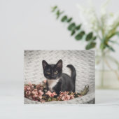 Hübsch-Bella-Rose Postkarte (Stehend Vorderseite)