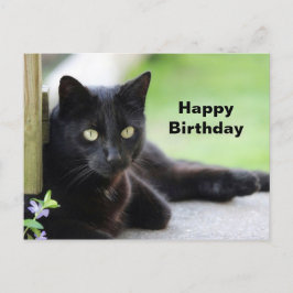 Hübsch Black Cat Foto Geburtstag Postkarte