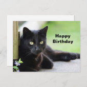 Hübsch Black Cat Foto Geburtstag Postkarte (Vorne/Hinten)