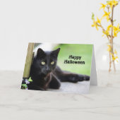 Hübsch Black Cat Foto Halloween Karte (Gelbe Blume)