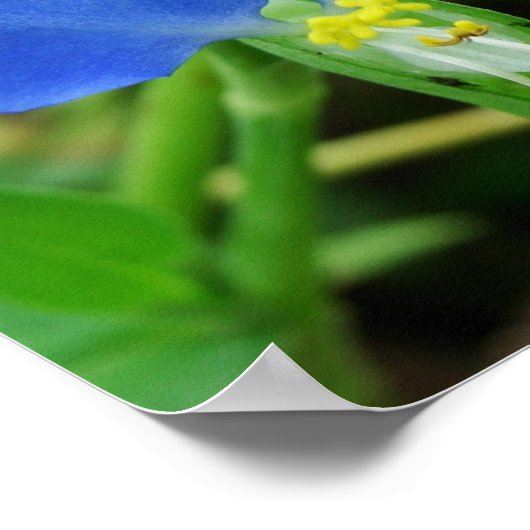 Hübsch Blue Blume Square Crop Poster (Ecke)