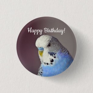 Hübsch Blue Budgie Foto Geburtstag Button
