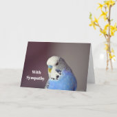 Hübsch Blue Budgie Foto Sympathie Card Karte (Gelbe Blume)