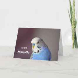 Hübsch Blue Budgie Foto Sympathie Card Karte