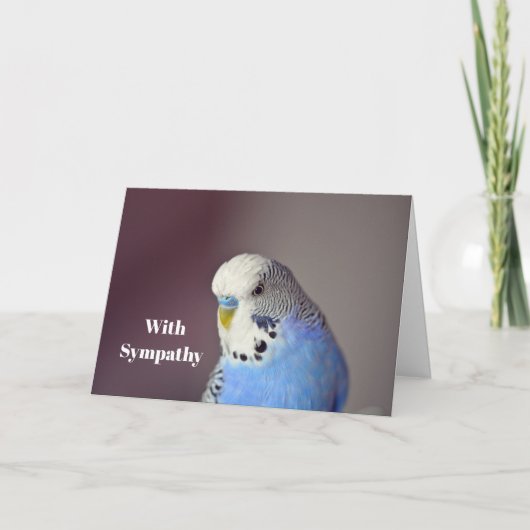 Hübsch Blue Budgie Foto Sympathie Card Karte (Vorderseite)