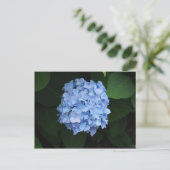 Hübsch Blue Hydrangea Floral Foto Postkarte (Stehend Vorderseite)