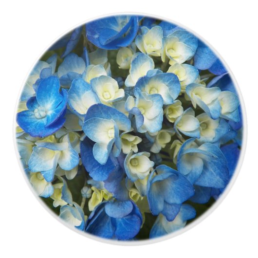 Hübsch Blue Hydrangea Floral Keramikknauf (Vorderseite)
