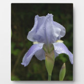 Hübsch Blue Iris Floral Raindrops EASEL Fotoplatte (Vorderseite)