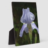 Hübsch Blue Iris Floral Raindrops EASEL Fotoplatte (Seite)