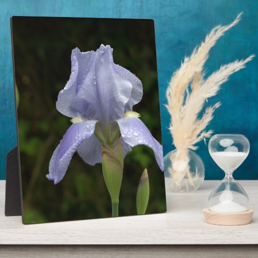Hübsch Blue Iris Floral Raindrops EASEL Fotoplatte (Seite)