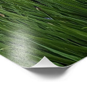 Hübsch Blue Irises Floral Fotodruck (Ecke)