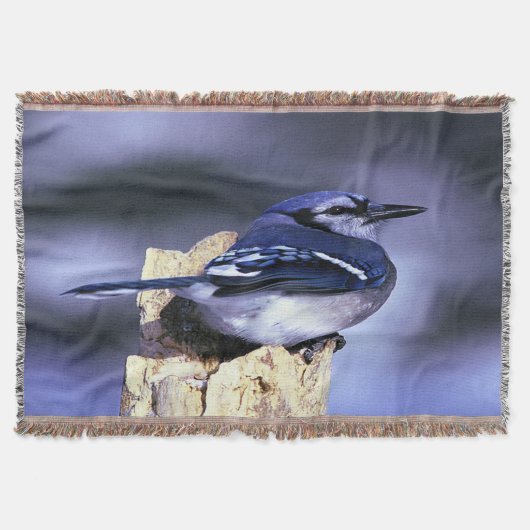Hübsch Blue Jay Decke (Vorderseite)