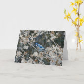 Hübsch Blue Jay - Herbst Art Note Card Karte (Gelbe Blume)