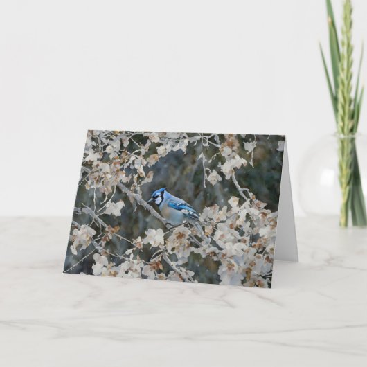 Hübsch Blue Jay - Herbst Art Note Card Karte (Vorderseite)