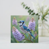 Hübsch Blue Jay Stehend auf Lilac Branchen (Stehend Vorderseite)