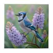 Hübsch Blue Jay Stehend auf Lilac Branchen Fliese (Vorderseite)