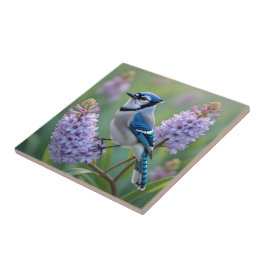 Hübsch Blue Jay Stehend auf Lilac Branchen Fliese