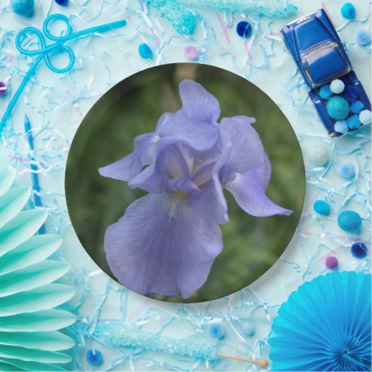 Hübsch Blue Periwinkle Iris Blume Pappteller (Party)