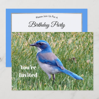 Hübsch Blue Scrub Jay Bird Foto Geburtstag Einladung