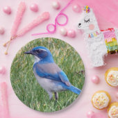 Hübsch Blue Scrub Jay Bird Foto Pappteller (Party)