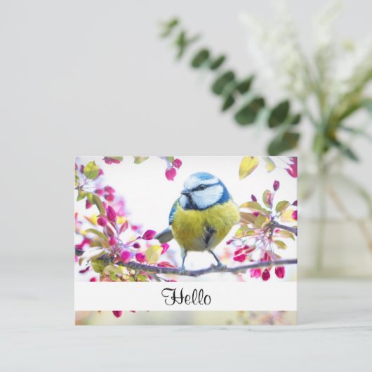Hübsch Blue & Yellow Bird auf einer Zweigstelle Ha Postkarte (Stehend Vorderseite)