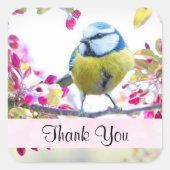 Hübsch Blue & Yellow Bird auf einer Zweigstelle Vi Quadratischer Aufkleber (Vorderseite)
