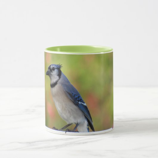 Hübsch BlueJay Tasse - Hinterhofvögel (Zentrum)