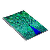 Hübsch BlueTeal Peacock Vogel Modernes Trendmuster Notizblock (Rechte Seite)