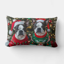 Hübsch Boston Terrier Weihnachten
