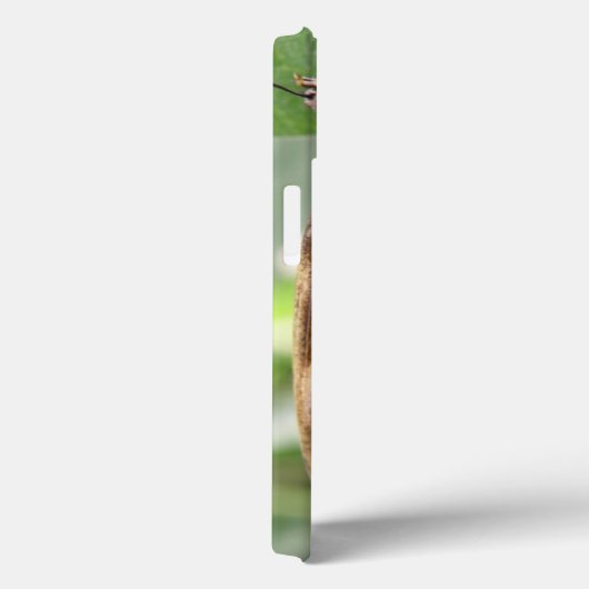 Hübsch Brown Butterfly iPad Case (Rückseite / Rechts)