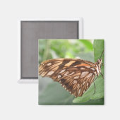 Hübsch Brown Butterfly Magnet (Vorderseite/Rückseite)