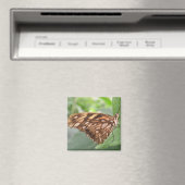 Hübsch Brown Butterfly Magnet (In Situ (Geschirrspüler))