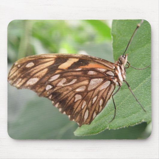 Hübsch Brown Butterfly Mousepad (Vorne)