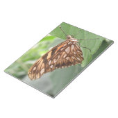 Hübsch Brown Butterfly Notepad Notizblock (angewinkelt)