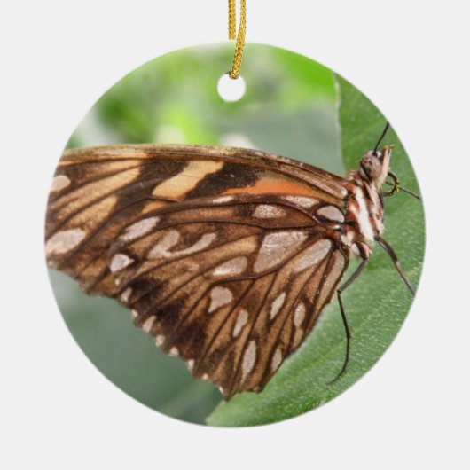 Hübsch Brown Butterfly Ornament (Vorne)