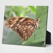 Hübsch Brown Butterfly Plaque Fotoplatte (Seite)