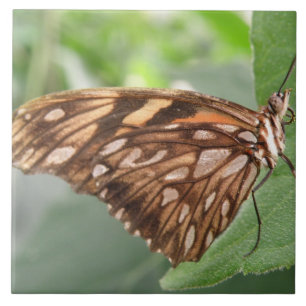 Hübsch Brown Butterfly Tile Fliese
