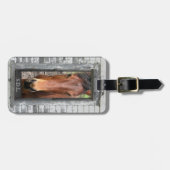 Hübsch Brown Horse, Kundenname Gepäckanhänger (Vorderseite horizontal)