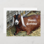 Hübsch Brown Nubian Goat Foto Geburtstag Postkarte (Vorne/Hinten)