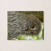 Hübsch Brown Owl Puzzle (Horizontal)