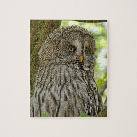 Hübsch Brown Owl Puzzle (Vertikal)