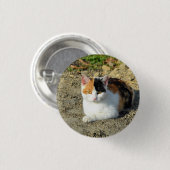 Hübsch Calico Cat Foto Button (Vorne & Hinten)