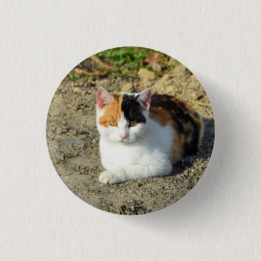 Hübsch Calico Cat Foto Button (Vorderseite)
