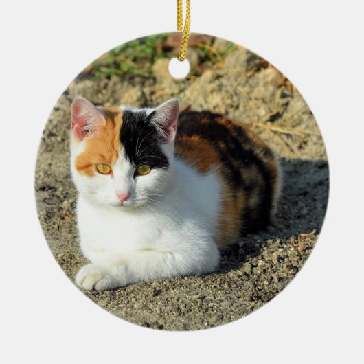 Hübsch Calico Cat Foto Keramik Ornament (Vorne)