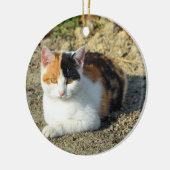 Hübsch Calico Cat Foto Keramik Ornament (Links)