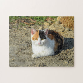 Hübsch Calico Cat Foto Puzzle
