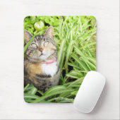Hübsch Calico Cat Mousepad (Mit Mouse)